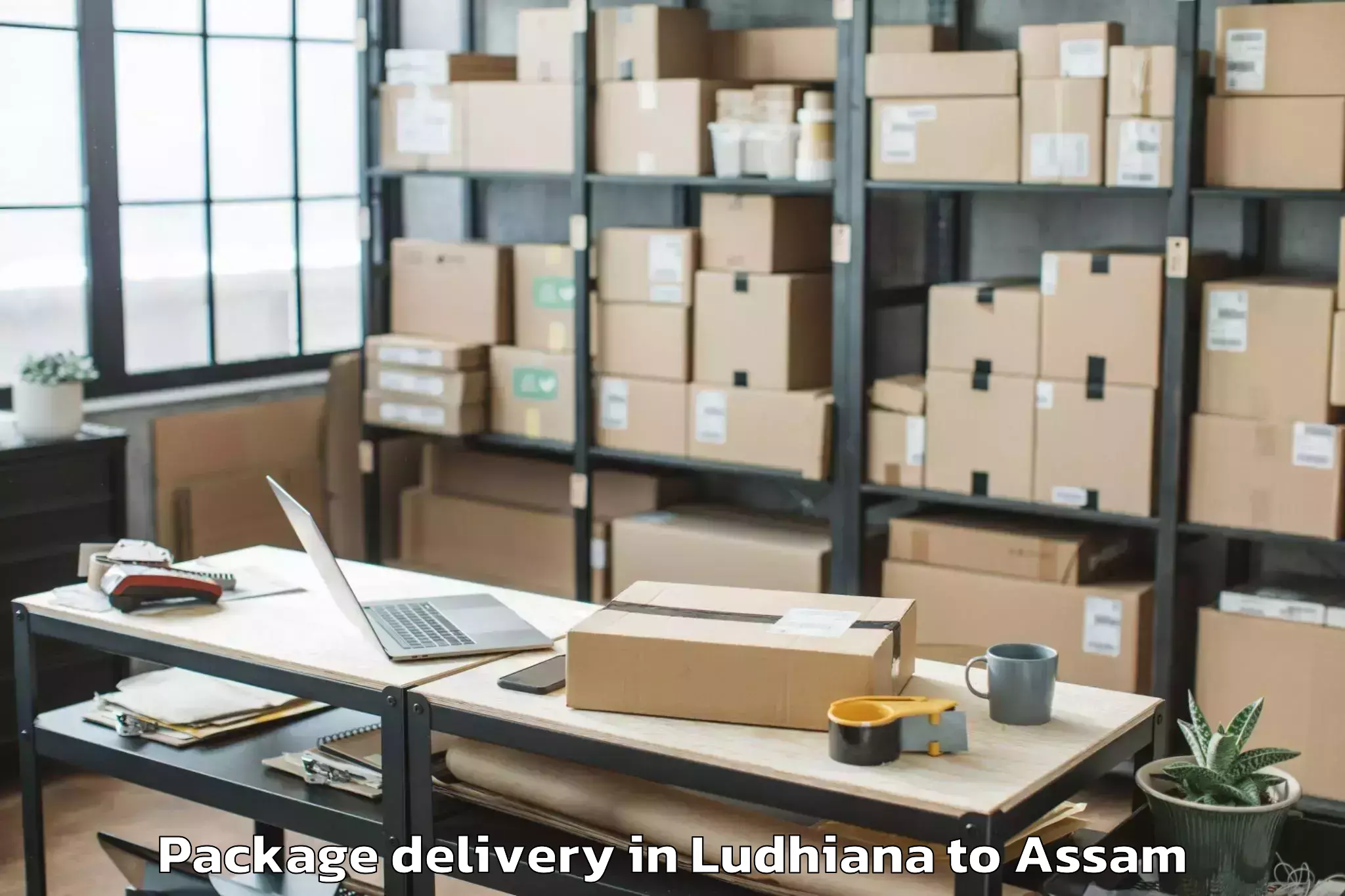 Quality Ludhiana to Pachim Nalbari Package Delivery